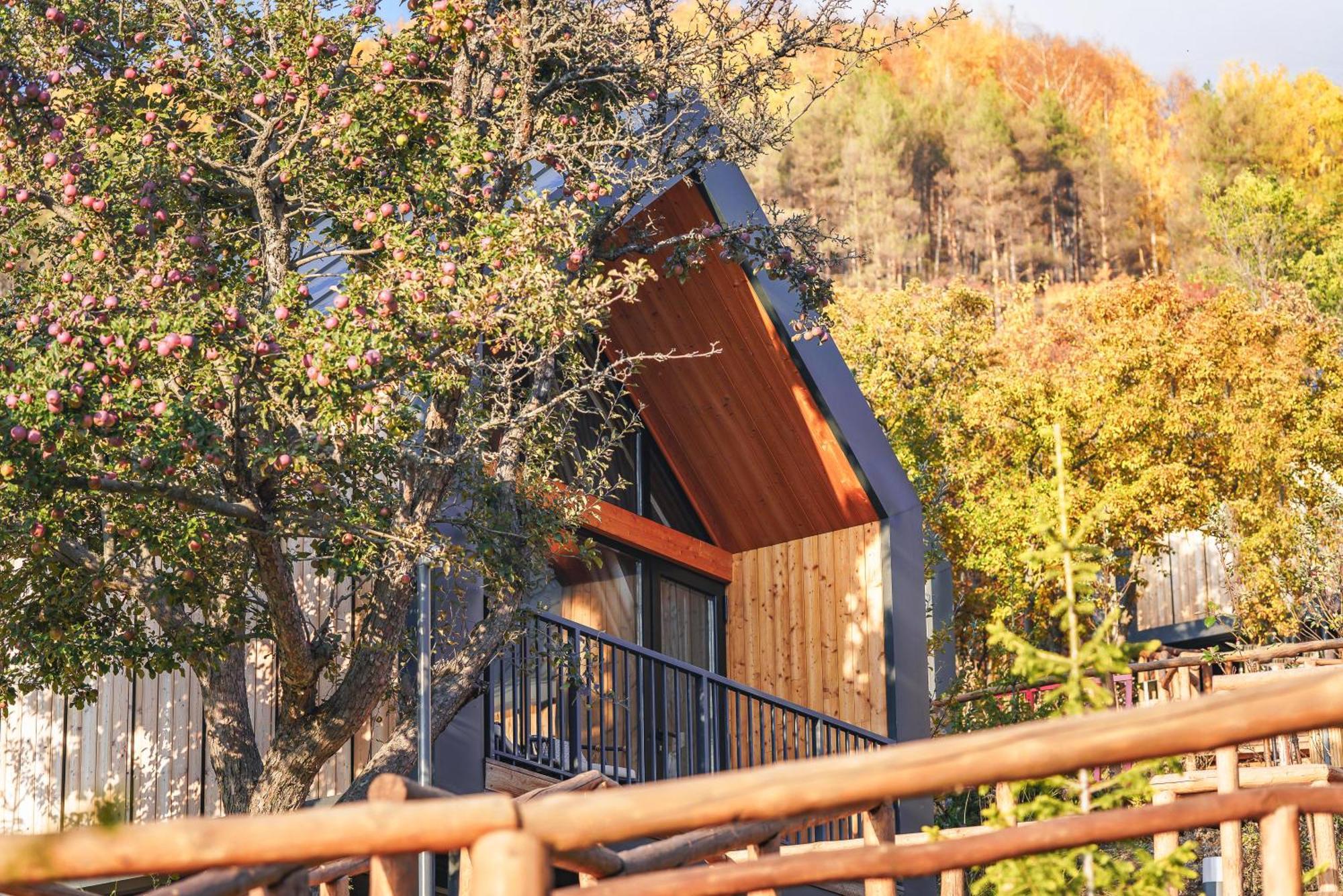 Qazaq Auyl Eco * 阿拉木图